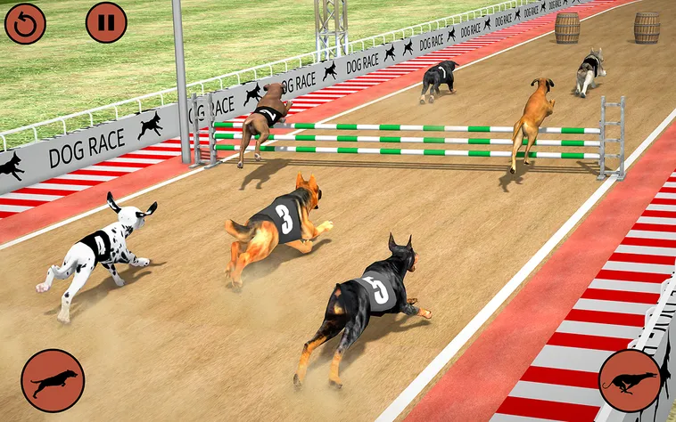 Trải Nghiệm Game Nhanh Đua Chó Tại iWinClub Để Thỏa Mãn Đam Mê Cá Cược
