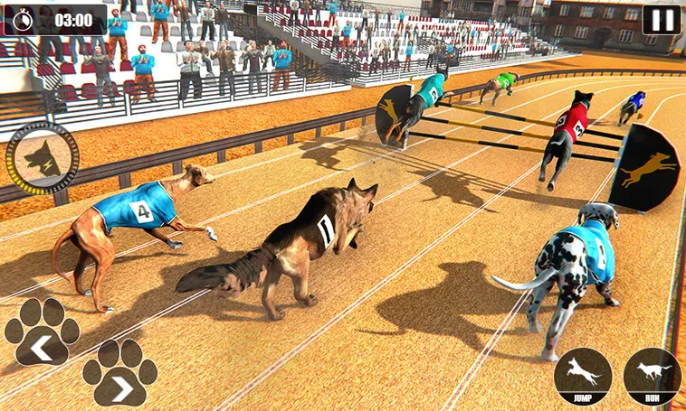 Trải Nghiệm Game Nhanh Đua Chó Tại iWinClub Để Thỏa Mãn Đam Mê Cá Cược